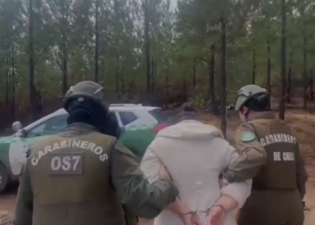 250 millones de pesos en droga: Carabineros del OS7 detuvo a 5 sujetos por tráfico y microtráfico en operativos simultáneos en Ñuble