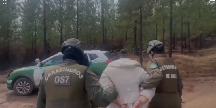 250 millones de pesos en droga: Carabineros del OS7 detuvo a 5 sujetos por tráfico y microtráfico en operativos simultáneos en Ñuble