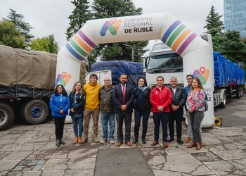 Portezuelo y Ránquil son parte de las comunas beneficiadas con ayuda del Gobierno Regional de Ñuble y Asociación de Agricultores tras los incendios