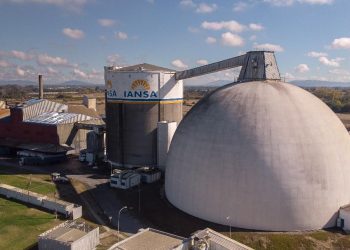 Fin del contrato de superficie para remolacha: las razones detrás de la decisión de Iansa en Chillán