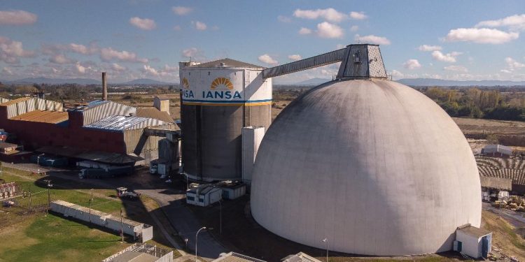 Fin del contrato de superficie para remolacha: las razones detrás de la decisión de Iansa en Chillán