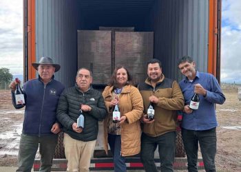 Productores de Vino del Valle del Itata expanden sus horizontes comerciales hacia China