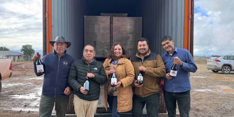 Productores de Vino del Valle del Itata expanden sus horizontes comerciales hacia China