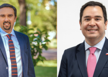 Ñuble en tensión productiva: entre cifras contradictorias y el impacto de la crisis agrícola