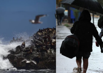 Sistema frontal llega a Ñuble: viento y marejadas marcarán la semana