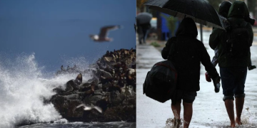 Sistema frontal llega a Ñuble: viento y marejadas marcarán la semana