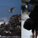 Sistema frontal llega a Ñuble: viento y marejadas marcarán la semana