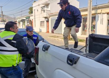 Decomiso de productos lácteos y el inicio de sumarios arrojó operativo conjunto con Carabineros, Seguridad Pública Municipal y SII en Coelemu