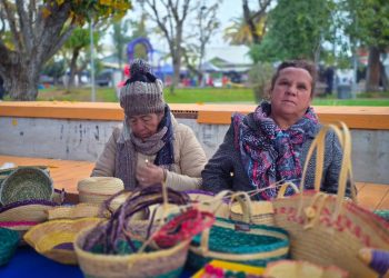 Artesanía y tradición marcaron la primera Feria de La Cuelcha en Quirihue