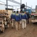 Fiscalía y PDI desarticulan la mayor asociación delictiva dedicada al robo de madera en Ñuble