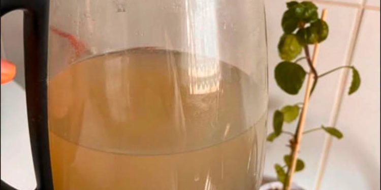 Essbio atribuye la turbiedad del agua en Ninhue a un episodio puntual y asegura que será solucionado durante esta jornada