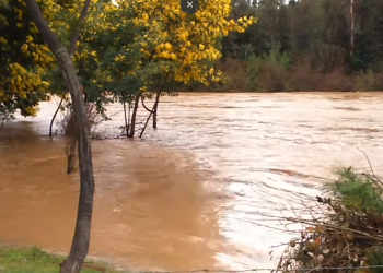 SENAPRED declara Alerta Amarilla por crecida de Río para las comunas de Ninhue, San Nicolás, Portezuelo y Trehuaco