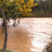 SENAPRED declara Alerta Amarilla por crecida de Río para las comunas de Ninhue, San Nicolás, Portezuelo y Trehuaco