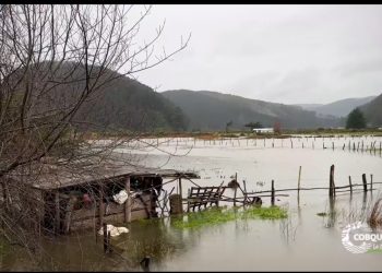 Preocupación en sector de Mela por desborde del río: vecinos piden intervención urgente