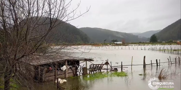Preocupación en sector de Mela por desborde del río: vecinos piden intervención urgente