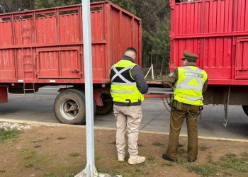 Carabineros detecta traslado irregular de ganado y detiene a un hombre por abigeato en San Nicolás