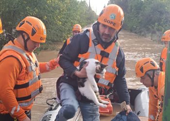 Sobrevivió toda la noche en el entretecho junto a su mascota: GOPE rescata a hombre aislado por el desborde del río Ñuble