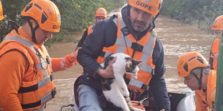Sobrevivió toda la noche en el entretecho junto a su mascota: GOPE rescata a hombre aislado por el desborde del río Ñuble