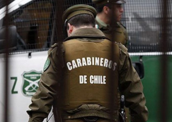 Horror en Quirihue: Adulta mayor de 78 años muere tras brutal ataque de tres perros