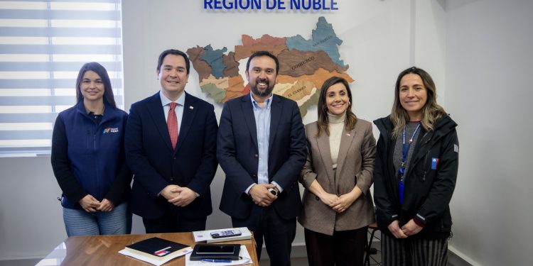 Museo Regional de Ñuble: Gobierno Central y Gobierno Regional buscan financiar más de 33 mil millones para su concreción