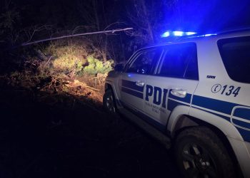 Hombre muere en faena forestal en la comuna de Cobquecura