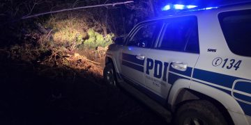 Hombre muere en faena forestal en la comuna de Cobquecura