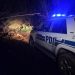 Hombre muere en faena forestal en la comuna de Cobquecura