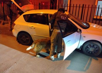 Carabineros fortalece presencia preventiva en Coelemu y Trehuaco con despliegue de unidades especializadas