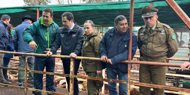 Rutas, campos y ferias: Carabineros fotalece ofensiva contra el abigeato en Ñuble previo a Fiestas Patrias