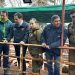 Rutas, campos y ferias: Carabineros fotalece ofensiva contra el abigeato en Ñuble previo a Fiestas Patrias
