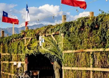 ¿Fiesta hasta el amanecer? Delegado de Itata es tajante: Actividades deberán terminar a la 1 de la madrugada