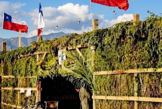 ¿Fiesta hasta el amanecer? Delegado de Itata es tajante: Actividades deberán terminar a la 1 de la madrugada